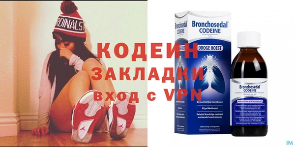ПСИЛОЦИБИНОВЫЕ ГРИБЫ Вяземский