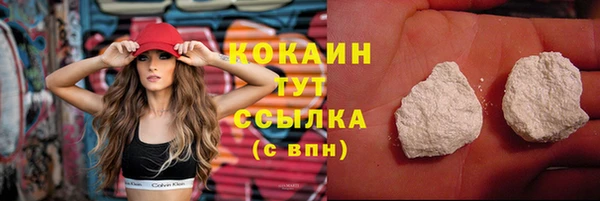 ПСИЛОЦИБИНОВЫЕ ГРИБЫ Вяземский