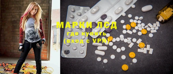 ПСИЛОЦИБИНОВЫЕ ГРИБЫ Вяземский