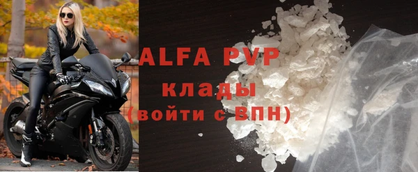 ПСИЛОЦИБИНОВЫЕ ГРИБЫ Вяземский