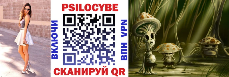 Купить где  Кандалакша  Галлюциногенные грибы Psilocybe 